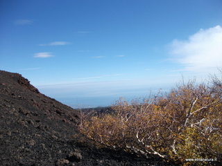 nte Zappinazzo-04-11-2012 11-00-08